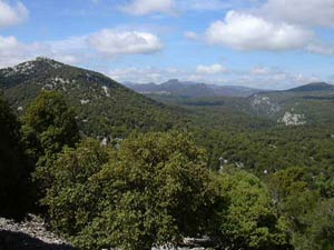 Panorama da Costa 'e Monte